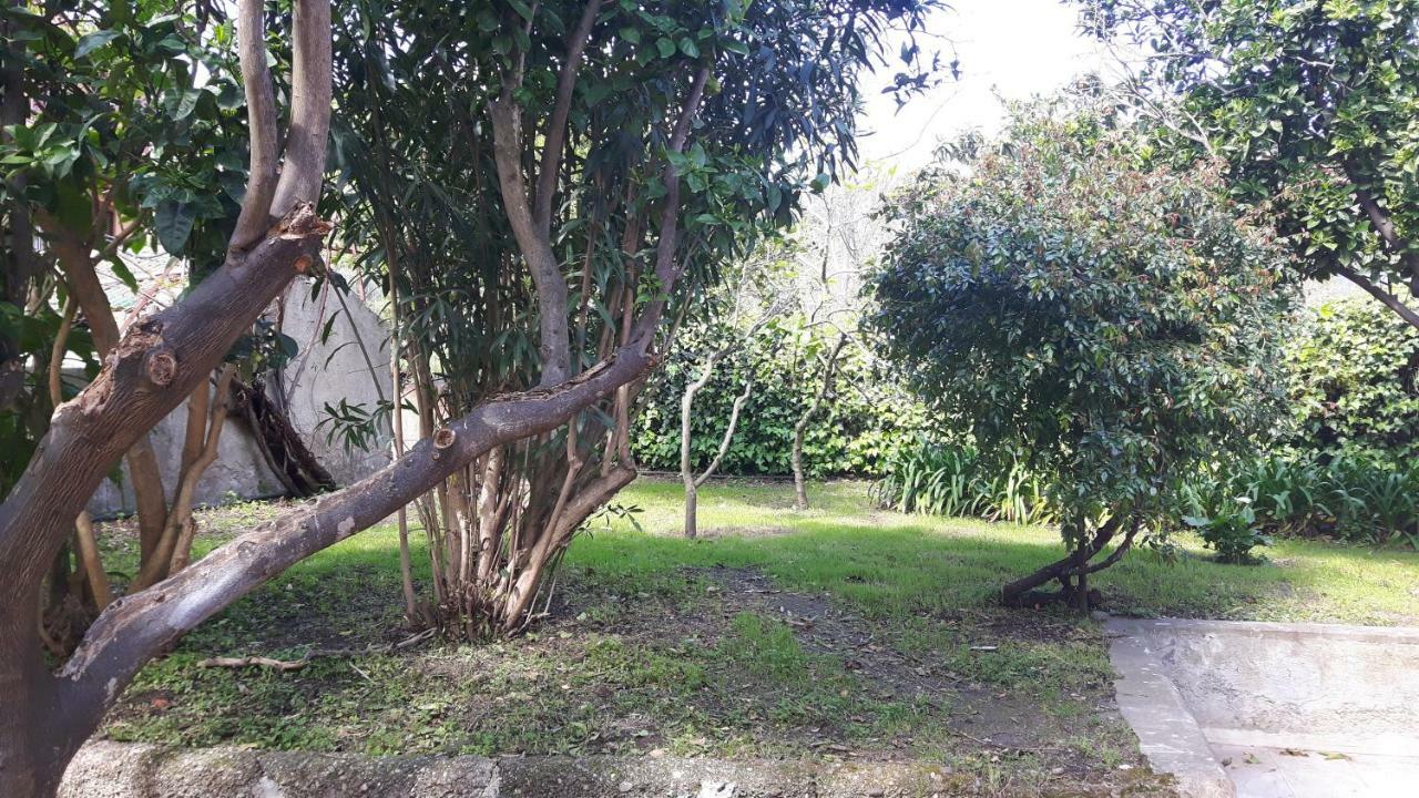Appartement Giardino Labruto à Messine Extérieur photo